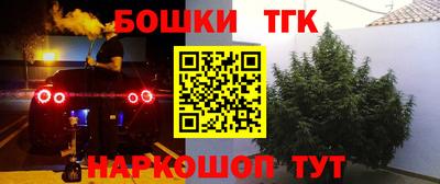 тгк Гусь-Хрустальный