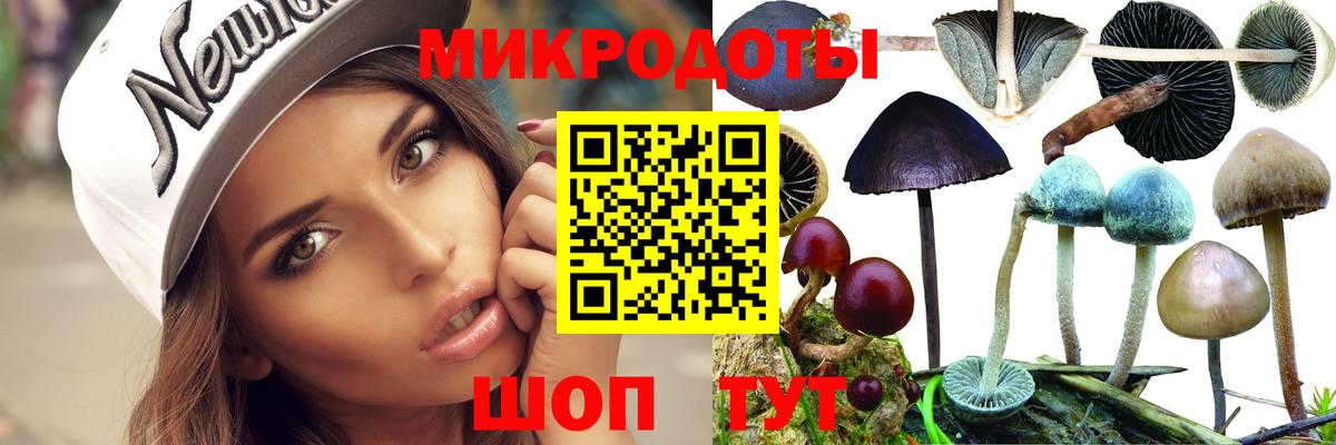 Псилоцибиновые грибы Magic Shrooms  Вход с VPN  Моздок  Галлюциногенные грибы Psilocybine cubensis 